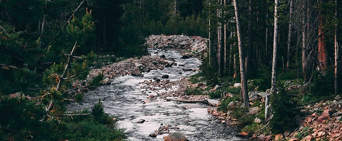 river bed with rocks and trees - hypnosis for procrastination guide