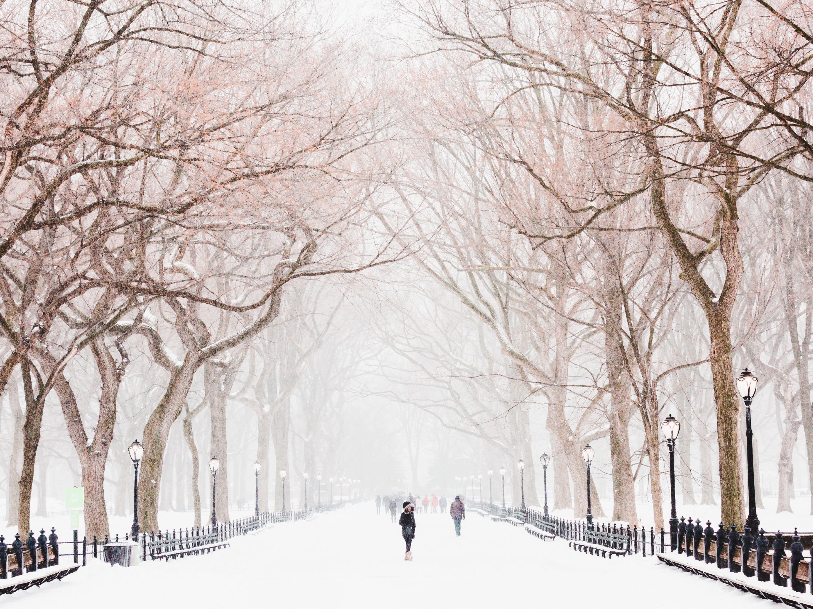 snowy path in central park - visual for sugar addiction hypnosis guide 