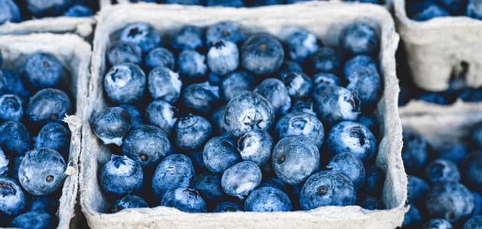 blueberries in carton - hypnosis for binge eating guide